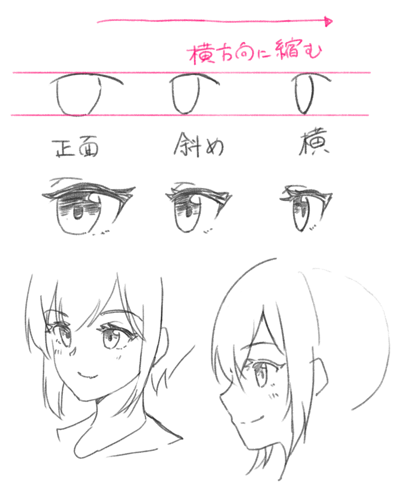 左右から見たときの目