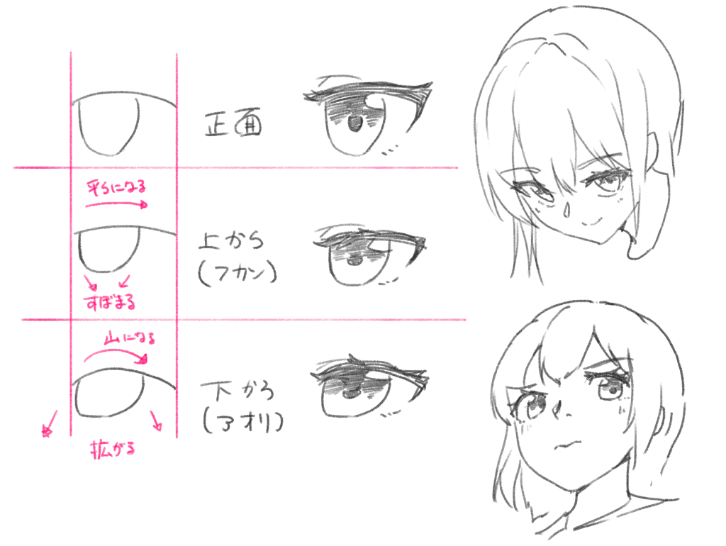 上下から見たときの目