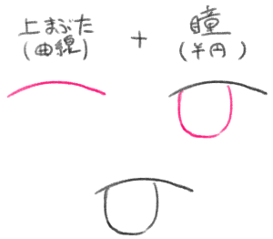 上まぶたと瞳