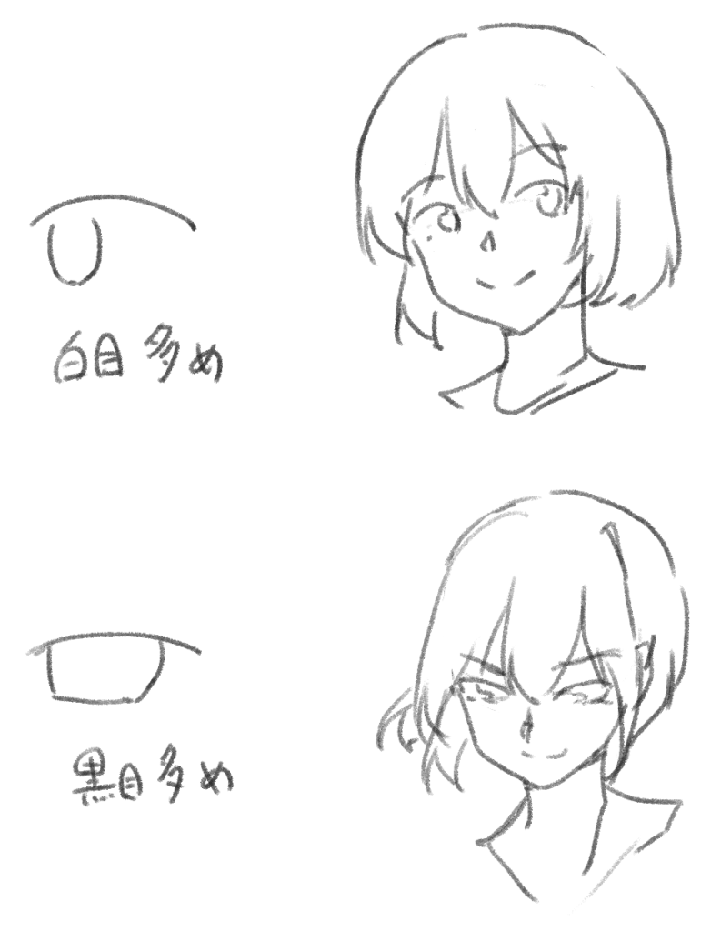 白目と黒目の比率